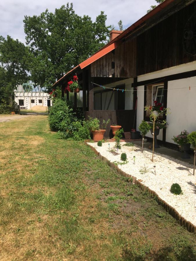Agroturystyka Pod Debami W Klukach Smoldzino Bagian luar foto