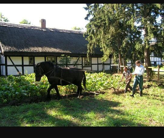 Agroturystyka Pod Debami W Klukach Smoldzino Bagian luar foto